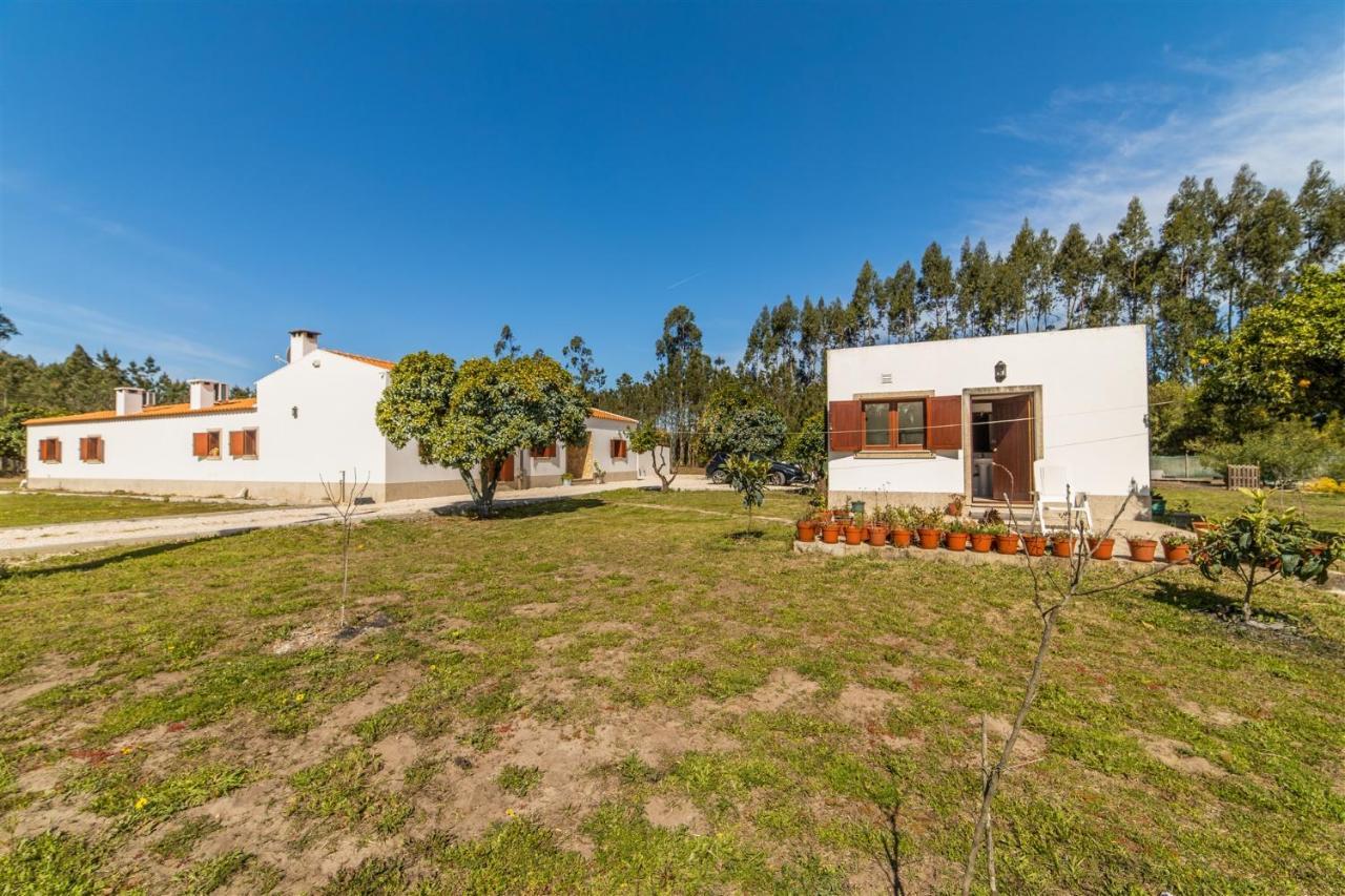 Quinta Das Camarinhas 칸탄헤데 외부 사진