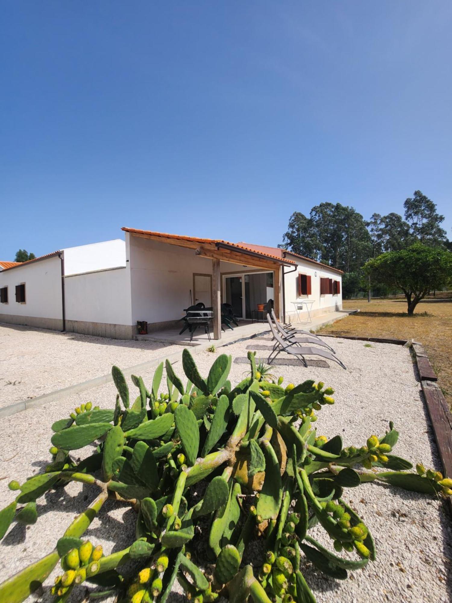 Quinta Das Camarinhas 칸탄헤데 외부 사진